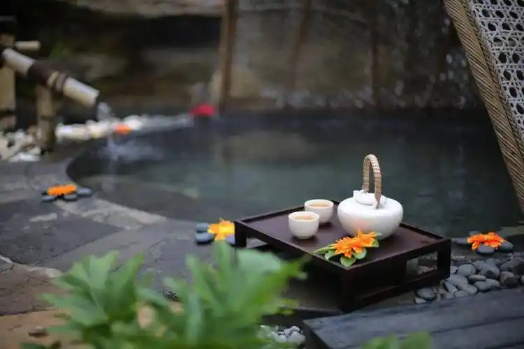 地熱溫泉醫(yī)養(yǎng)行業(yè)賦能新質生產力發(fā)展-地熱開發(fā)利用-地大熱能 地熱溫泉醫(yī)養(yǎng)行業(yè)賦能新質生產力發(fā)展-地熱開發(fā)利用-地大熱能