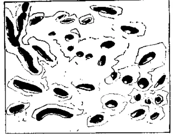 盤點各類地質(zhì)地貌類型-地熱資源開發(fā)-地大熱能