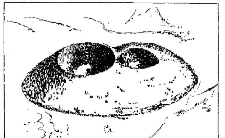 盤點各類地質(zhì)地貌類型-地熱資源開發(fā)-地大熱能