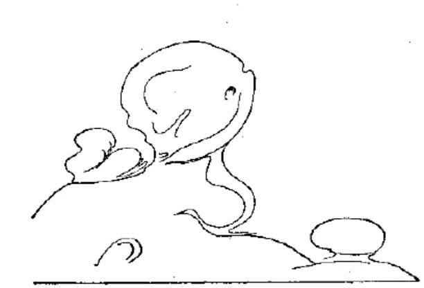 盤點各類地質(zhì)地貌類型-地熱資源開發(fā)-地大熱能